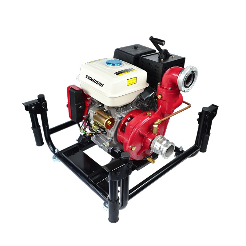 2.5-inch gasoline engine fire pump