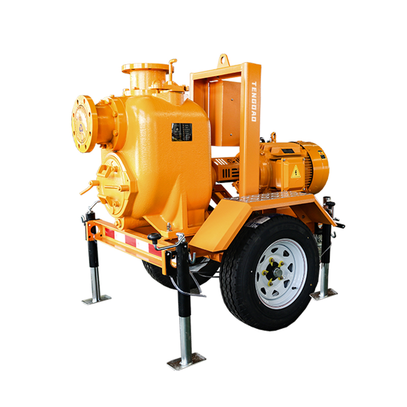 Tengdao 100to2000 m³/h Electric Pump Series-High-Efficiency Solutions for Industrial and Urban Drainage