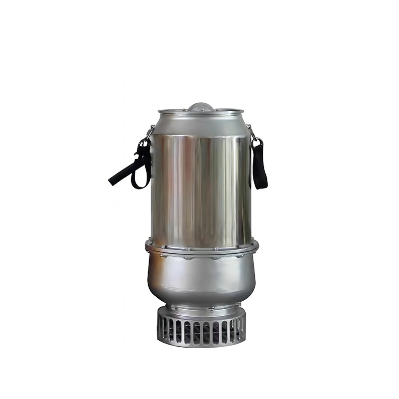 Large Capacity Portable Submersible Pump: Stainless Steel, 500 Cubic Meters, 10cm Minimum Suction